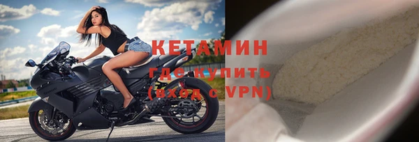 ПСИЛОЦИБИНОВЫЕ ГРИБЫ Сосновый Бор