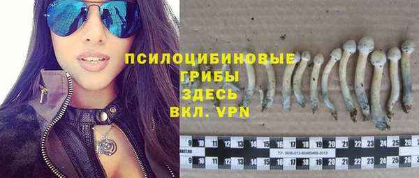 мескалин Белокуриха