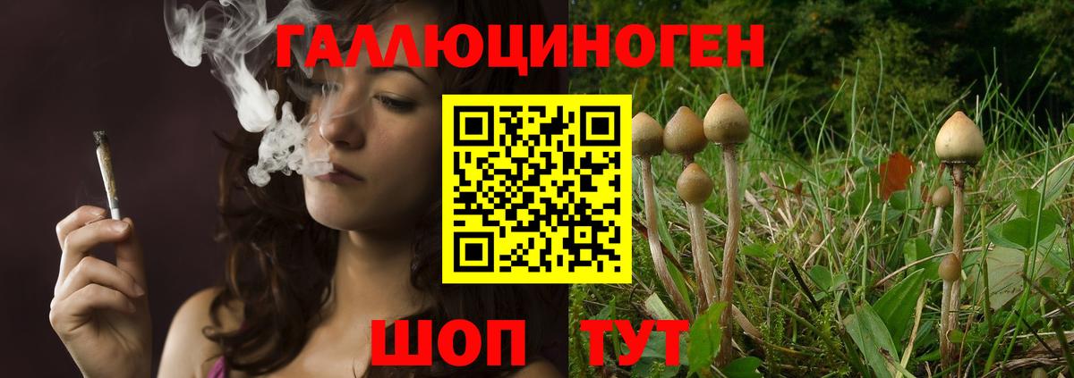 Псилоцибиновые грибы GOLDEN TEACHER  Вход с VPN  Валуйки 